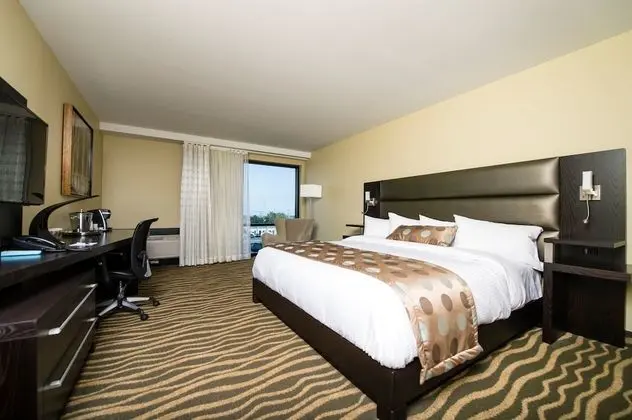 Deluxe Oda, 1 En Büyük (King) Boy Yatak, Nehir Manzaralı