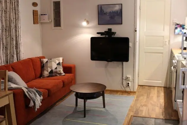 Basic Stüdyo (2+1 Persons, 26 m2)