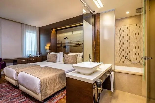 Standart Oda, Şehir Manzaralı