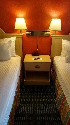 Tek Büyük Yataklı Oda, 2 Büyük (Queen) Boy Yatak (Pet Friendly, First Floor)