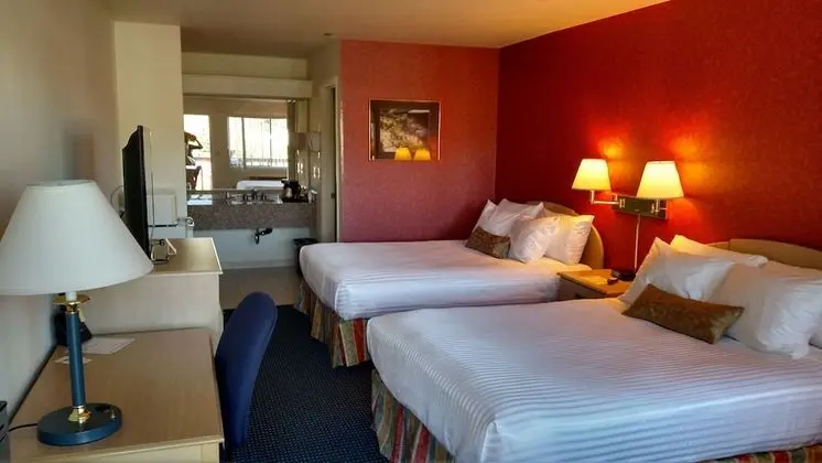 Tek Büyük Yataklı Oda, 2 Büyük (Queen) Boy Yatak (Pet Friendly, First Floor)