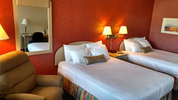 Tek Büyük Yataklı Oda, 2 Büyük (Queen) Boy Yatak (Pet Friendly, First Floor)