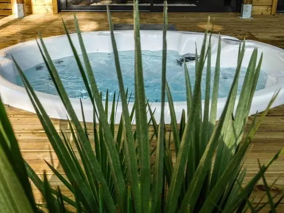 Tek Büyük Yataklı Oda (Lily)