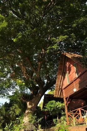 Dubleks (Bungalow)