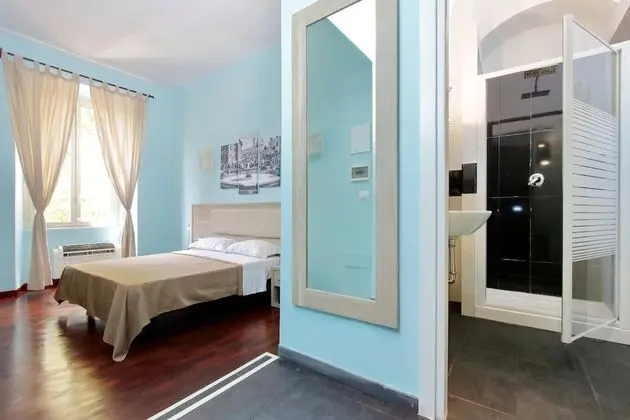 Deluxe Tek Büyük Yataklı Oda (Guesthouse)