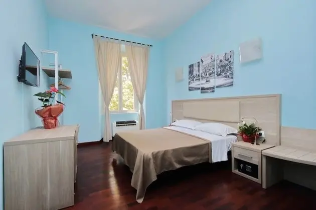 Deluxe Tek Büyük Yataklı Oda (Guesthouse)