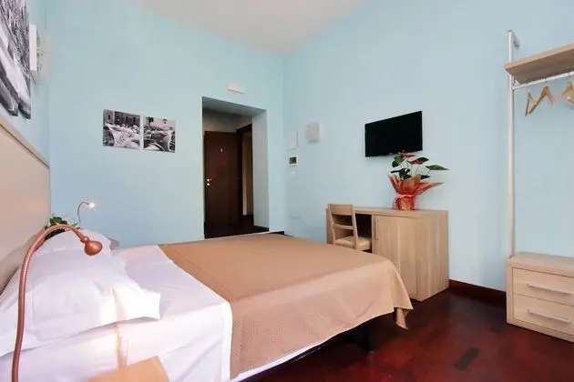 Deluxe Tek Büyük Yataklı Oda (Guesthouse)