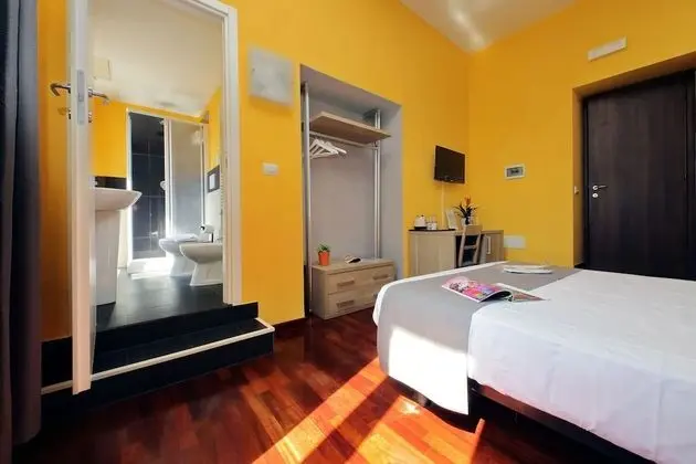 Standard Tek Büyük Yataklı Oda (Guesthouse)