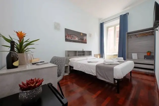 Standard Tek Büyük Yataklı Oda (Guesthouse)