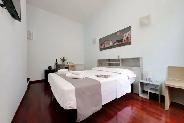 Standard Tek Büyük Yataklı Oda (Guesthouse)