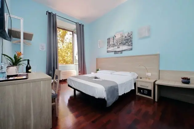 Standard Tek Büyük Yataklı Oda (Guesthouse)