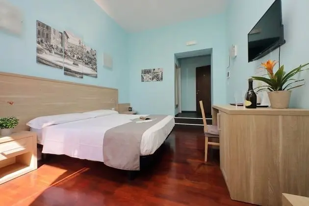 Standard Tek Büyük Yataklı Oda (Guesthouse)