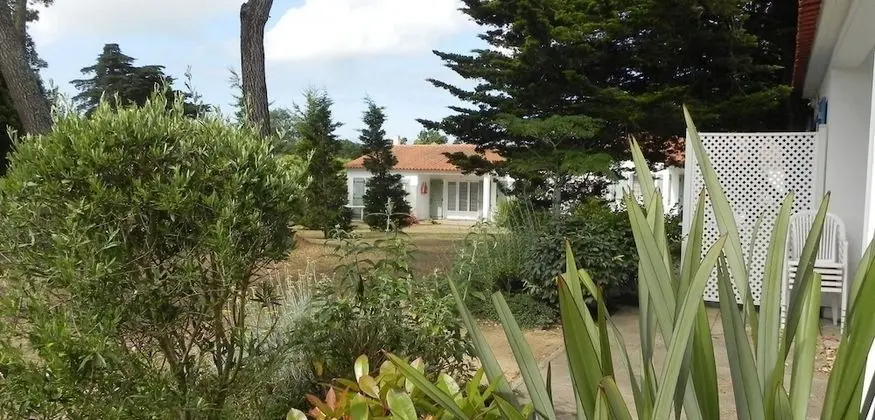 Kır Evi, 1 Yatak Odası, Teras