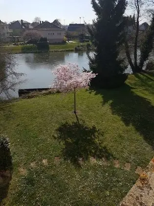 Comfort Tek Büyük Yataklı Oda, Bahçe Manzaralı