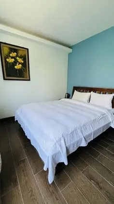 Standard Tek Büyük Yataklı Oda, Dağ Manzaralı