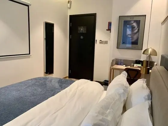 Premium Tek Büyük Yataklı Oda