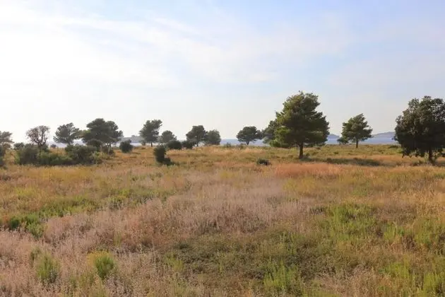 Apart Daire (Lias 2 - with restaurant - A7 prvi ka)