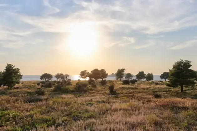 Apart Daire (Lias 2 - with restaurant - A9 drugi k)