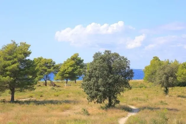 Apart Daire (Lias 2 - with restaurant - A9 drugi k)