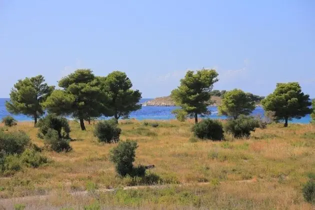 Apart Daire (Lias 2 - with restaurant - A9 drugi k)