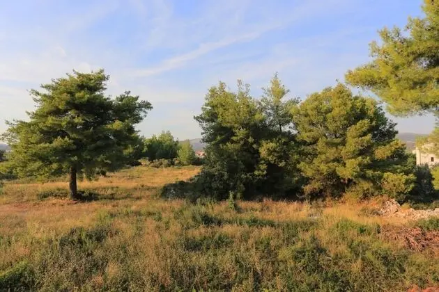 Apart Daire (Lias - with restaurant - A6 prvi kat()