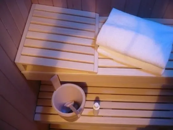 Süit, Sauna, Ek Bina (Wellness)