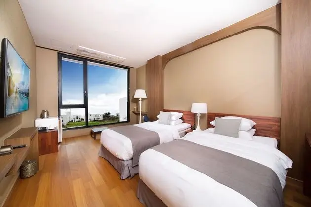 Deluxe İki Ayrı Yataklı Oda (Hotel)