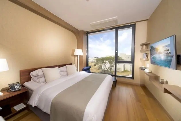 Deluxe Tek Büyük Yataklı Oda (Hotel)