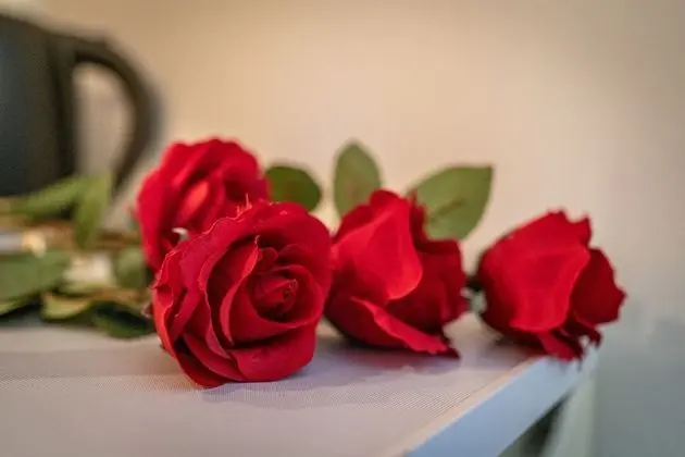 Dört Kişilik Oda (#5)