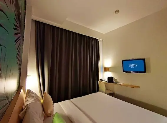 Premium Tek Büyük Yataklı Oda, 1 Çift Kişilik Yatak