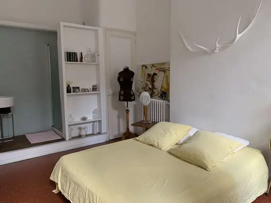 Tek Büyük Yataklı Oda (Belle chambre spacieuse)