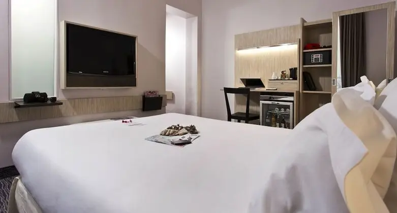 Tek Büyük Yataklı Oda (Privilege)