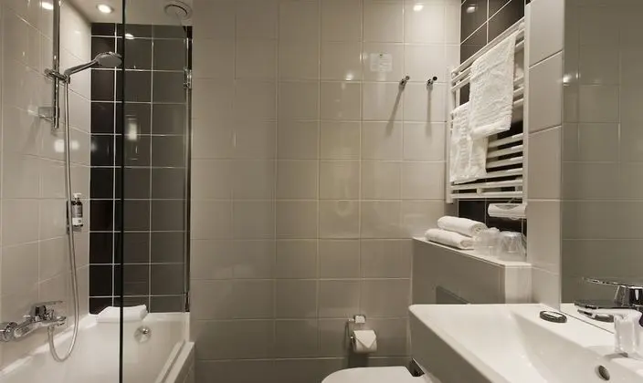 Tek Büyük Yataklı Oda (Privilege)