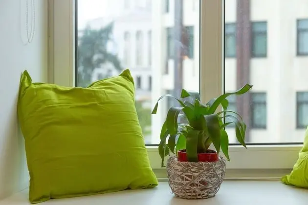 Standard Dört Kişilik Oda, Birden Çok Yatak, Şehir Manzaralı