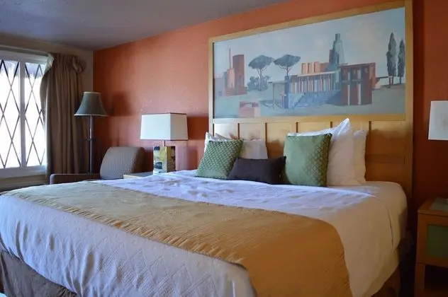 Comfort Stüdyo, 1 En Büyük (King) Boy Yatak, Sigara İçilmez