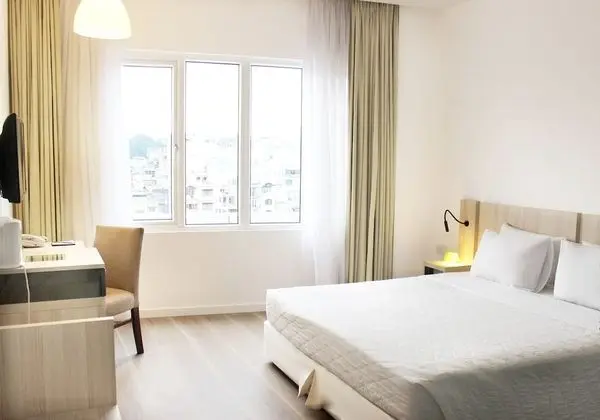 Premier Oda, Park Manzaralı
