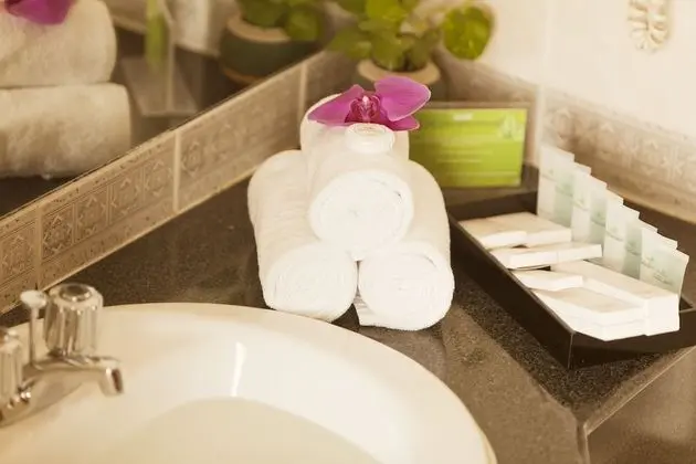 Deluxe Tek Büyük veya İki Ayrı Yataklı Oda (Executive)