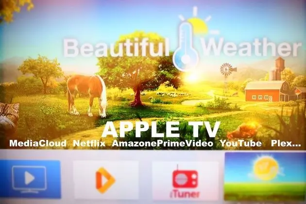 Comfort Tek Büyük veya İki Ayrı Yataklı Oda, Balkon, Bahçe Manzaralı