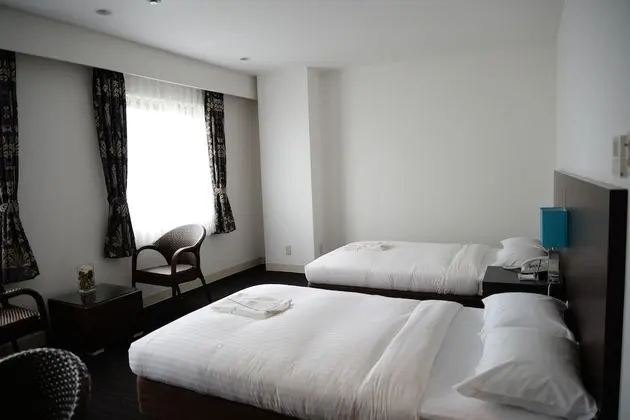 Deluxe İki Ayrı Yataklı Oda, Şehir Manzaralı