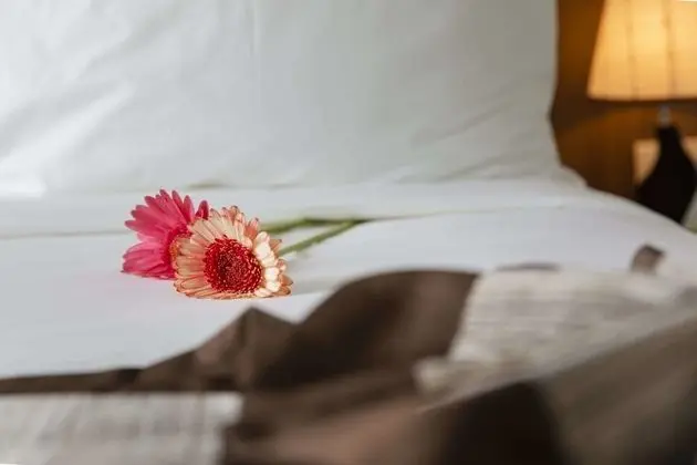 Deluxe Oda, Deniz Manzaralı