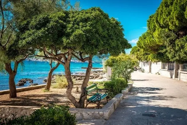 Ev (Lidi - 30 m from beach - H(6+2))