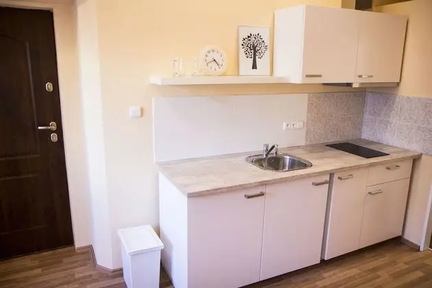City Apart Daire, 1 Yatak Odası, Mutfak