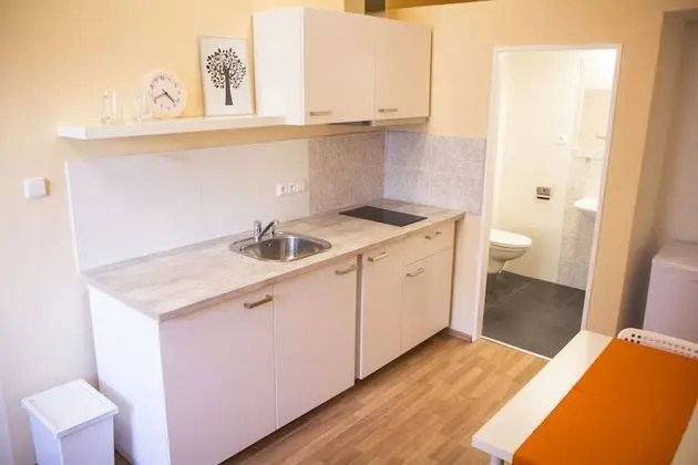 City Apart Daire, 1 Yatak Odası, Mutfak