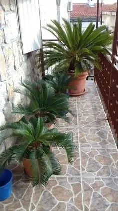 Stüdyo (Lidija apartments in the centre - SA2)