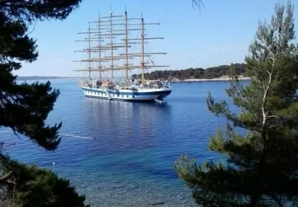 Apart Daire (Lidija - family friendly & close to t)