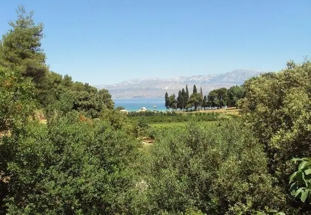 Ev (Lidija - Robinson House - H(2+2))