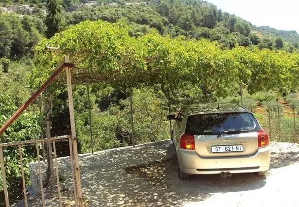 Ev (Lidija - Robinson House - H(2+2))