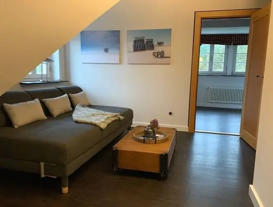 Süit