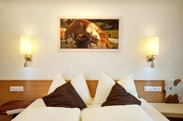 Tek Büyük Yataklı Oda, Balkon