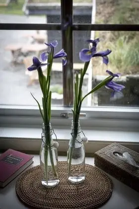 Tek Büyük Yataklı Oda, Ortak Banyo (Private WC)